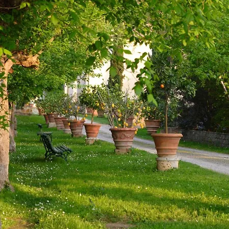 Primula Apartment Poggibonsi Exterior photo